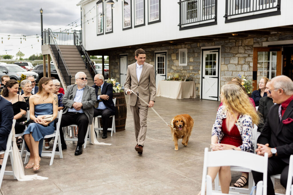 Ways to include dog in your wedding, lancaster pa wedding, the barn at silverstone