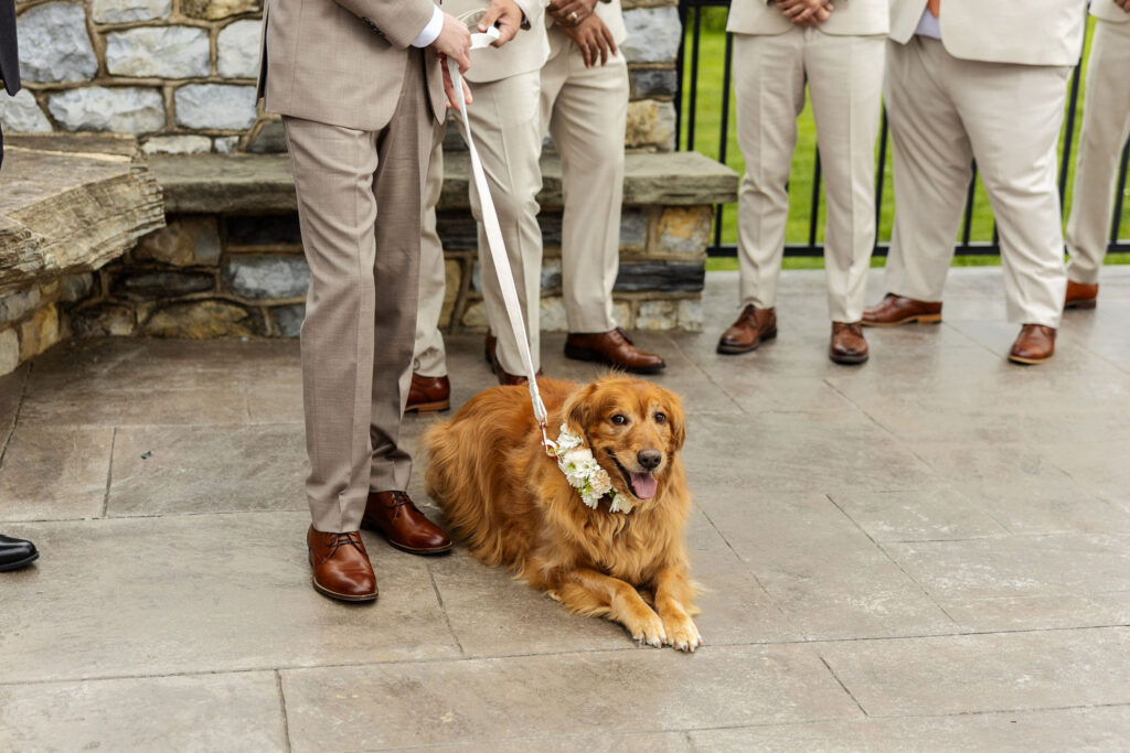 Ways to include dog in your wedding, lancaster pa wedding, the barn at silverstone