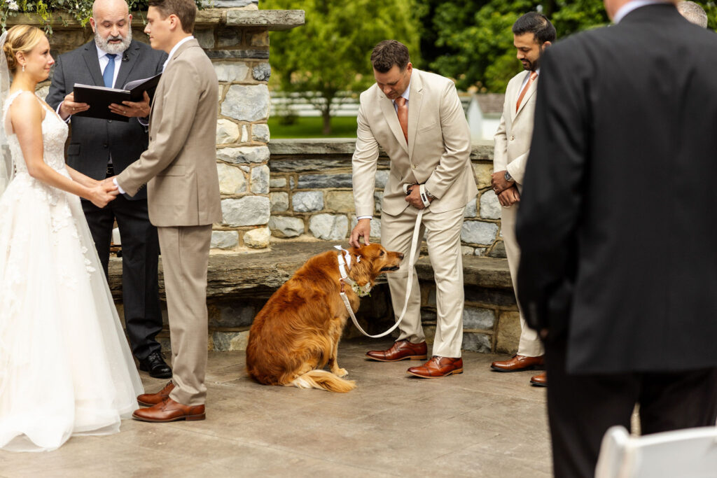 Ways to include dog in your wedding, lancaster pa wedding, the barn at silverstone