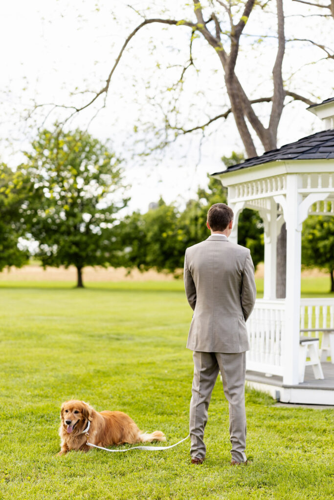 dog in wedding first look, lancaster pa