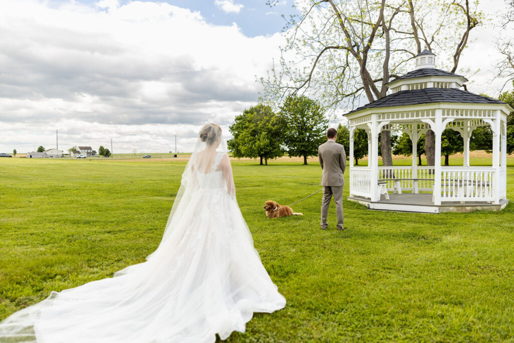 dog in wedding first look, lancaster pa