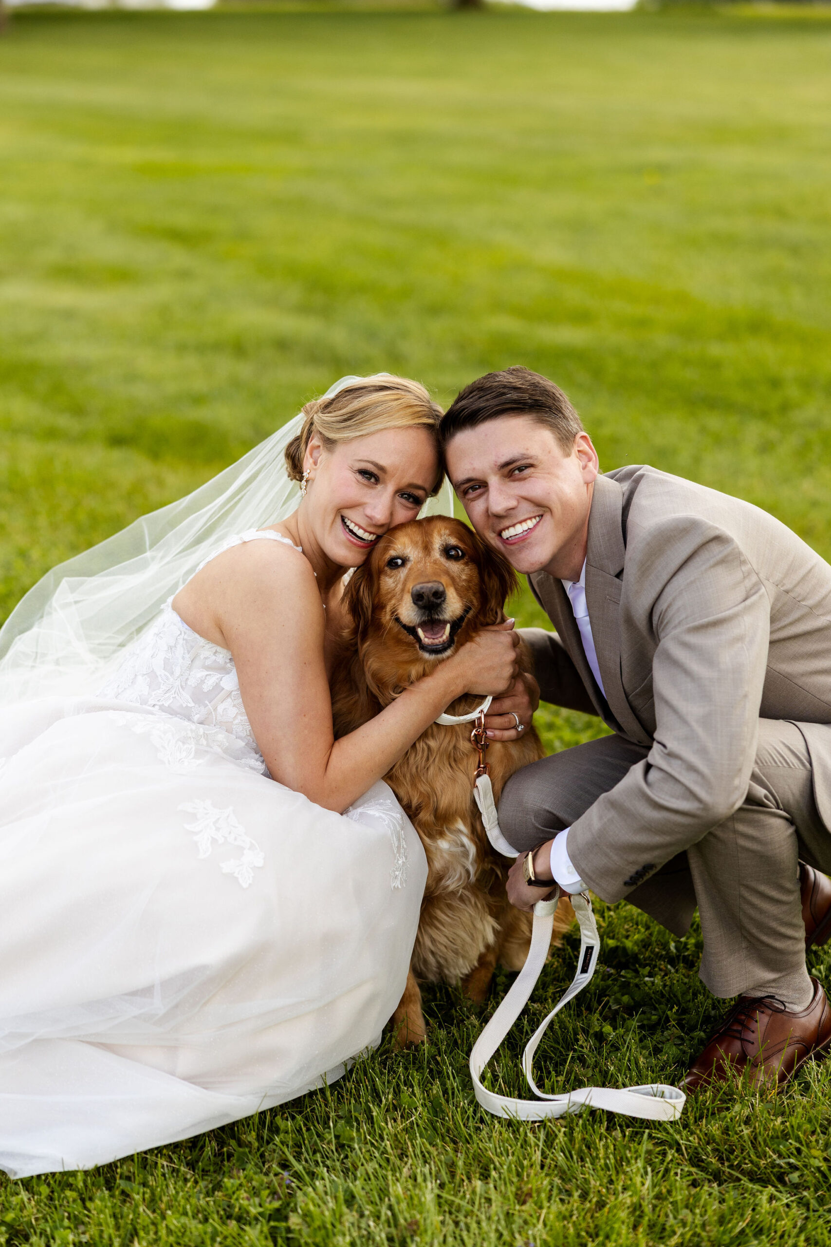 Ways to include dog in your wedding, lancaster pa wedding, the barn at silverstone