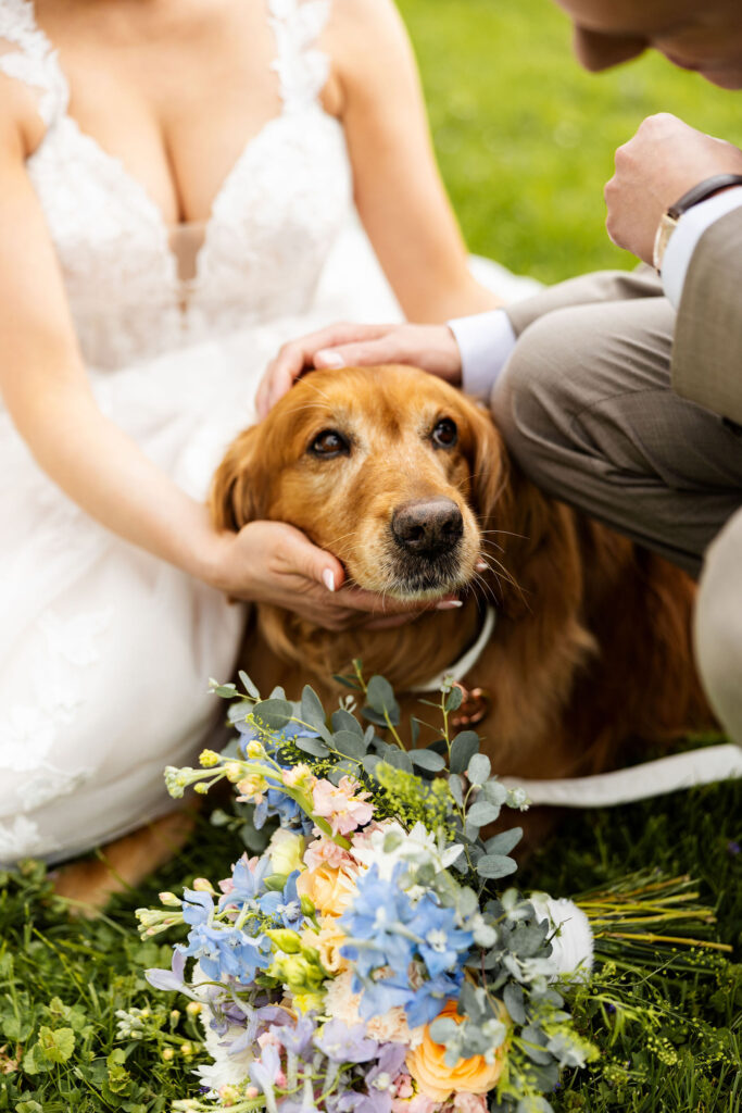 Ways to include dog in your wedding, lancaster pa wedding, the barn at silverstone