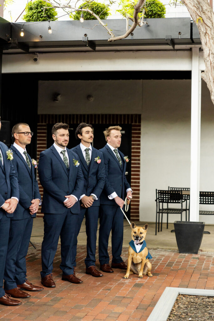Ways to include dog in your wedding, lancaster pa wedding, ironspire complex